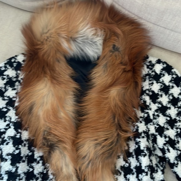 Jacket - Picture 3 of 5